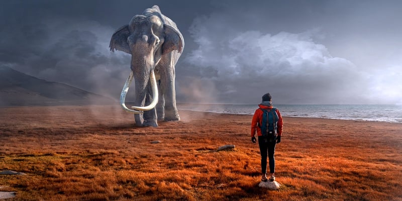 Encounters with ETs